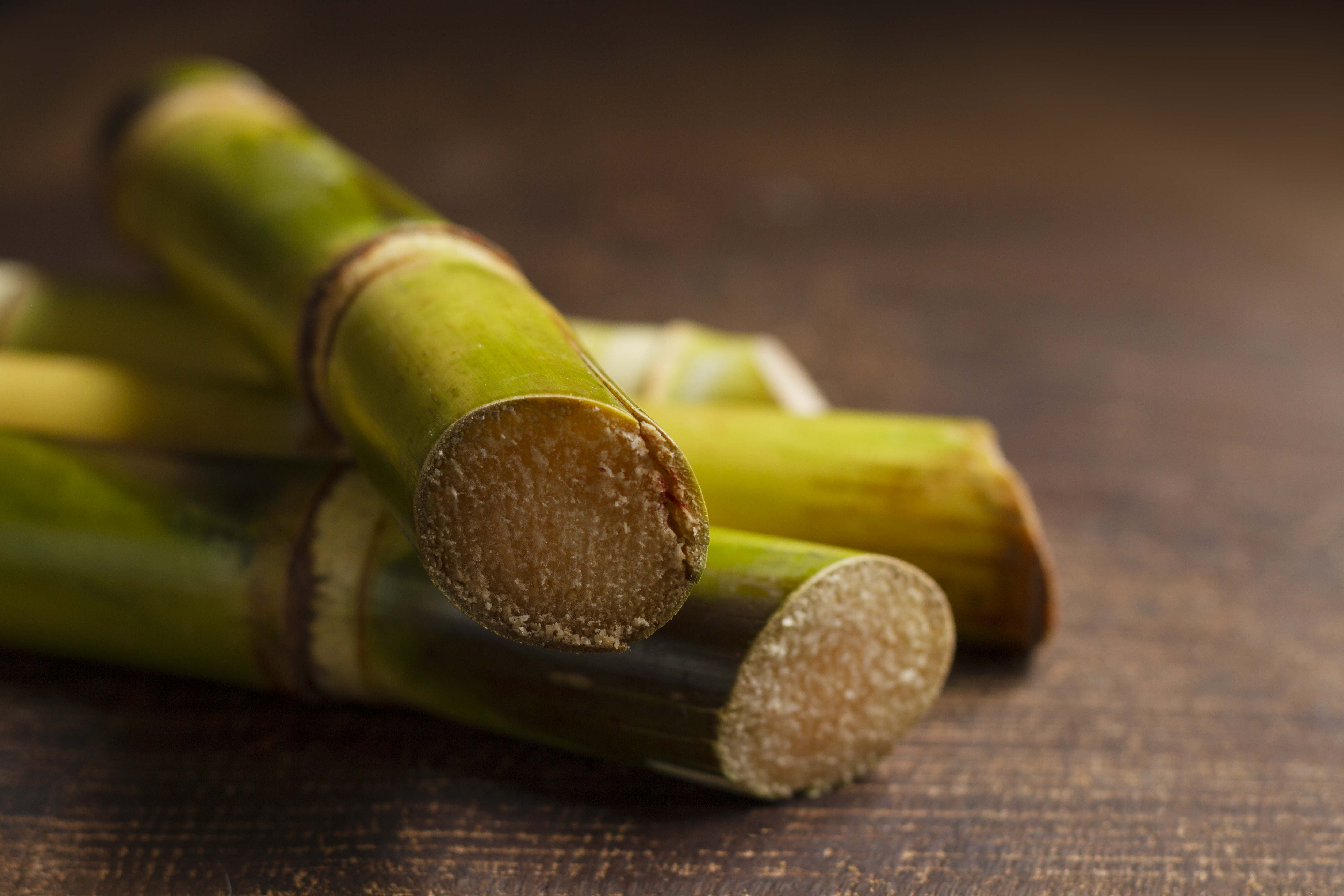 Sugarcane Crop